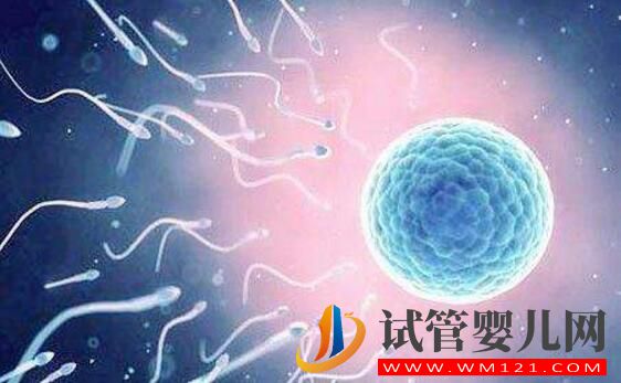 無精癥可以做試管嬰兒?jiǎn)幔繉?duì)無精癥的誤解有哪些(圖3) 無精癥可以做試管嬰兒?jiǎn)幔繉?duì)無精癥的誤解有哪些(圖3)