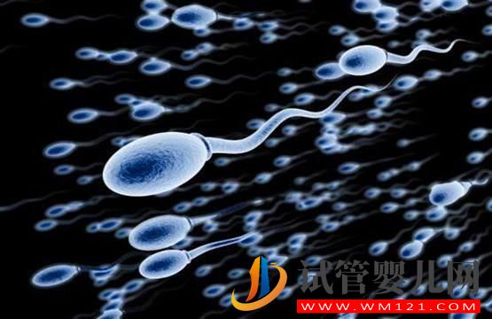 精子質量差 做試管嬰兒如何提高精子質量和受精率嗎？(圖1)