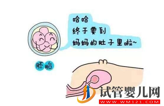 都勻胚胎移植后幾天會(huì)著床？有什么反應(yīng)(圖1)