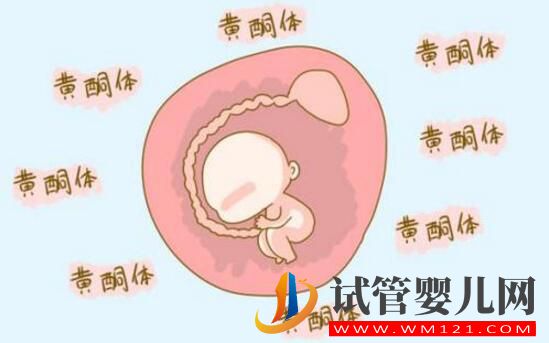 孕酮低就代表著需要保胎嗎？孕酮、HCG與保胎的關系你了解嗎？(圖2)