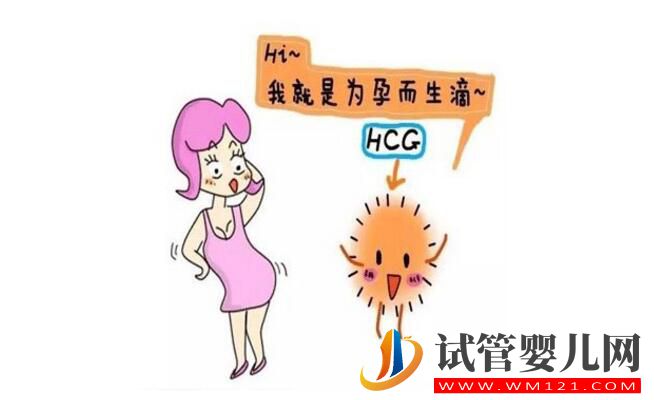 孕酮低就代表著需要保胎嗎？孕酮、HCG與保胎的關系你了解嗎？(圖3)