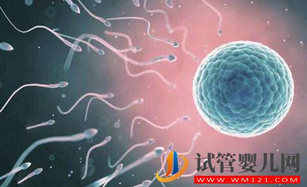 女人結扎了可以做試管嬰兒嗎?來看看吧(圖3) 銅仁女人結扎了可以做試管嬰兒嗎?來看看吧(圖3)