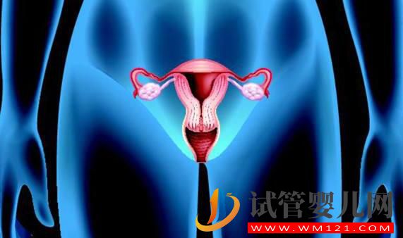 子宮腺肌癥能做試管嬰兒嗎?應(yīng)該如何備孕(圖3) 子宮腺肌癥能做試管嬰兒嗎?應(yīng)該如何備孕(圖3)