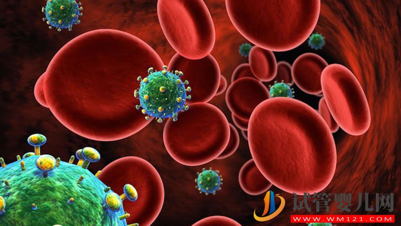 艾滋病病毒感染患者一般可以選擇進(jìn)行試管嬰兒 艾滋病病毒感染患者一般可以選擇進(jìn)行試管嬰兒(圖2)