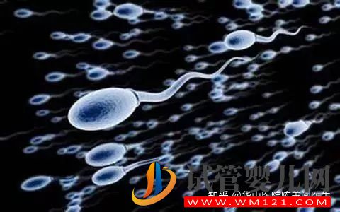 得了弱精子癥別著急,看這篇文章就清楚了(圖4) 得了弱精子癥別著急,看這篇文章就清楚了(圖4)