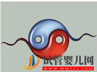 得了弱精子癥別著急,看這篇文章就清楚了(圖8) 得了弱精子癥別著急,看這篇文章就清楚了(圖8)