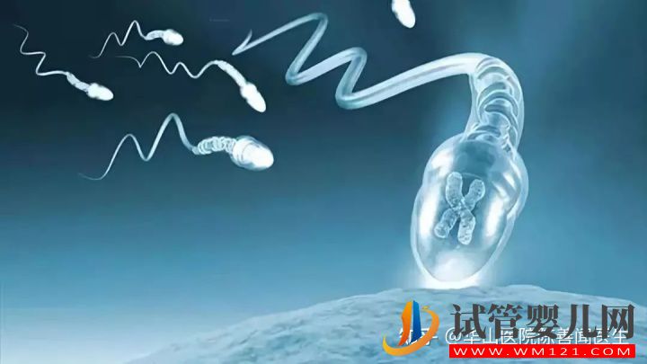 得了弱精子癥別著急,看這篇文章就清楚了(圖9) 得了弱精子癥別著急,看這篇文章就清楚了(圖9)