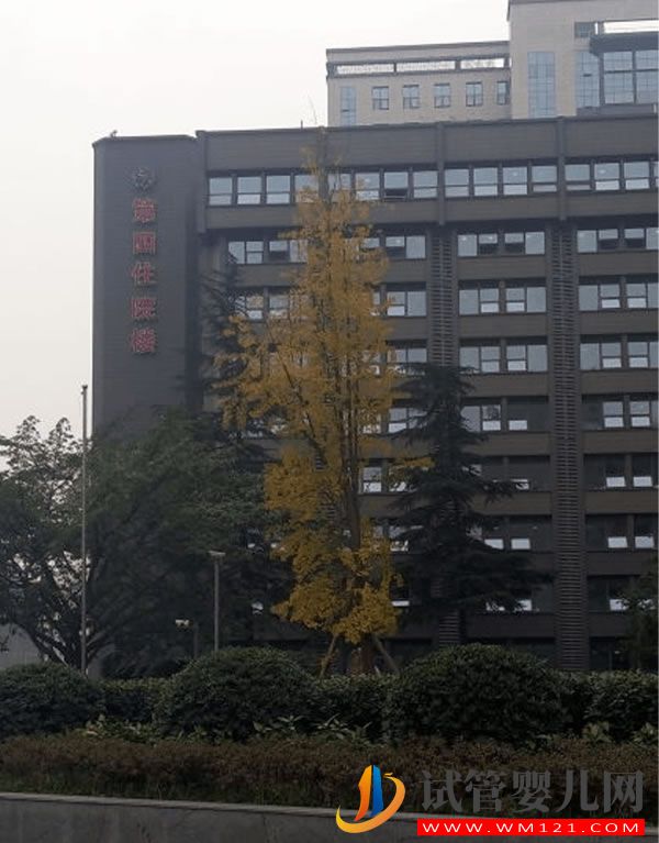成都中醫(yī)藥大學(xué)附屬生殖婦幼醫(yī)院試管嬰兒成功率、費(fèi)用指南(圖4)