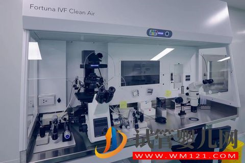 用供卵做試管會(huì)后悔嗎?想明白這幾件事就好了(圖1)