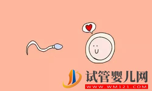 哪些情況下不適合受孕? 哪些情況下不適合受孕?(圖1)