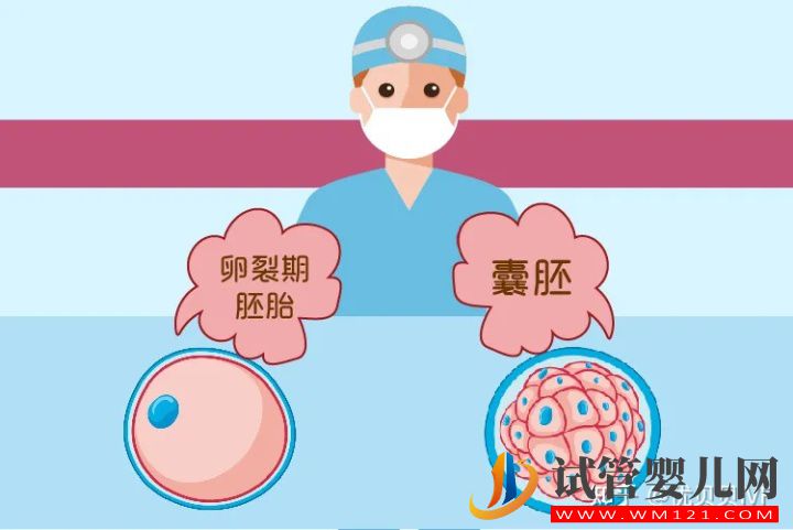 養(yǎng)囊VS不養(yǎng)囊,利弊一文講清楚(圖1)