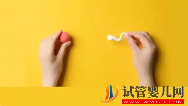 做試管嬰兒，這些是您必須避免的 5 個錯誤(圖2)