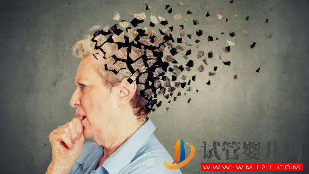 研究稱啤酒可以預防老年癡呆癥：真的有效嗎？(圖3)
