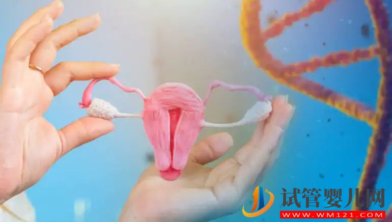 我有一個輸卵管：我還能懷孕嗎？(圖1)