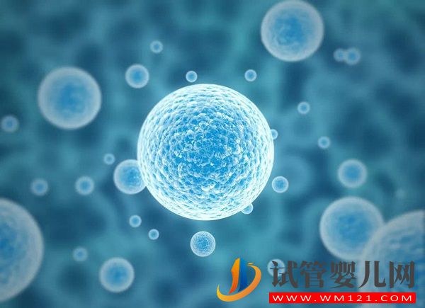 做試管嬰兒前提條件，卵泡萎縮患者無卵子不能做(圖2)