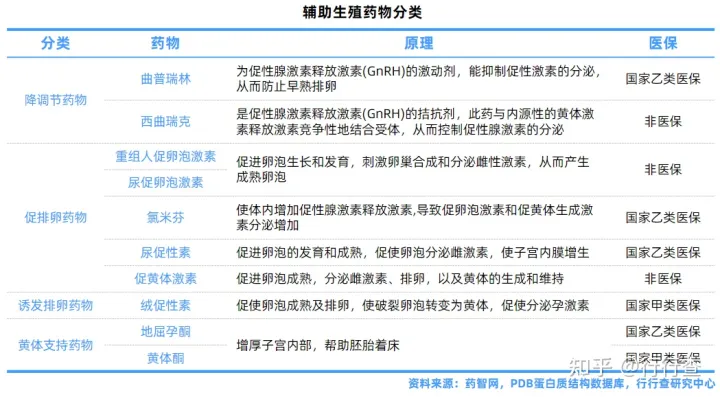 中國輔助生殖行業(yè)研究報告(圖4) 中國輔助生殖行業(yè)研究報告(圖4)