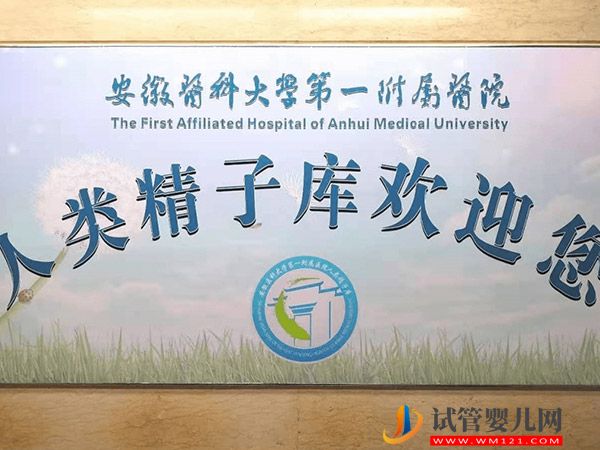 2023安徽精子庫大全,醫院買精子供精人工受孕費用參考(圖2) 2023安徽精子庫大全,醫院買精子供精人工受孕費用參考(圖2)