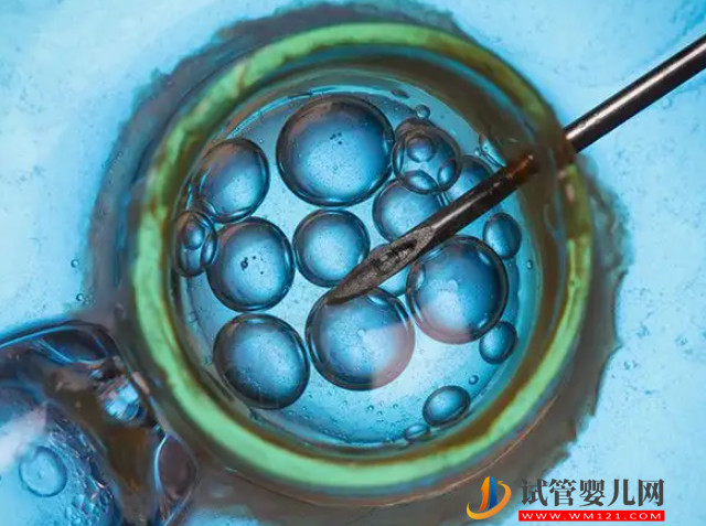 澳門三代試管醫院匯總，具體助孕成功率及花費附上(圖1)