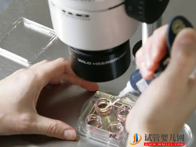 澳門正規生殖中心排行榜，2023前十名助孕機構成功率附上(圖1)