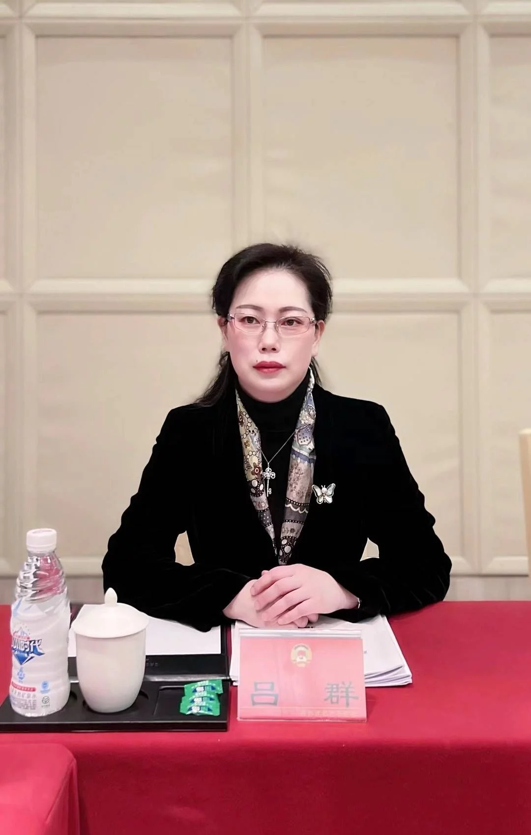 成都市政協委員呂群:激勵生育力 推進輔助生殖技術相關費用納入醫保(圖1) 成都市政協委員呂群:激勵生育力 推進輔助生殖技術相關費用納入醫保(圖1)