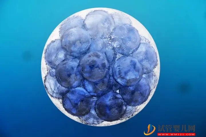干細胞最全的科普,拿走不謝! 干細胞最全的科普,拿走不謝!(圖1)