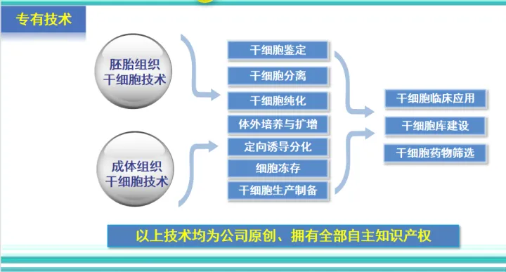 干細胞最全的科普,拿走不謝!(圖6) 干細胞最全的科普,拿走不謝!(圖6)