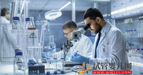 干細胞是什么?干細胞主要作用是什么?(圖1) 干細胞是什么?干細胞主要作用是什么?(圖1)