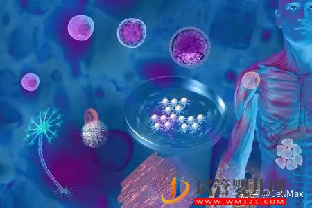 近期干細(xì)胞研究進(jìn)展匯總!(圖1) 近期干細(xì)胞研究進(jìn)展匯總!(圖1)