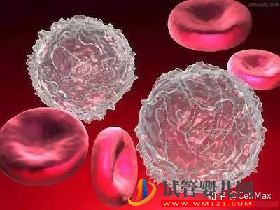 近期干細(xì)胞研究進(jìn)展匯總!(圖4) 近期干細(xì)胞研究進(jìn)展匯總!(圖2)