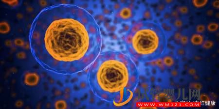 醫學科普醫學界熱議的干細胞到底是什么東西？(圖2)