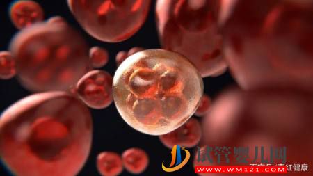 醫學科普醫學界熱議的干細胞到底是什么東西？(圖4)