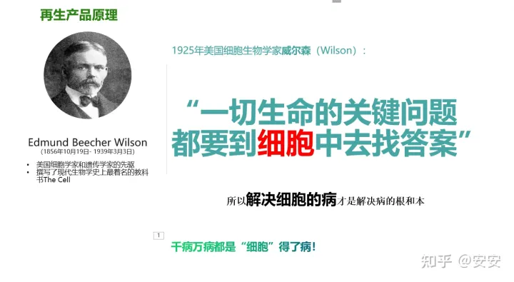 干細胞是什么?(圖2) 干細胞是什么?(圖2)