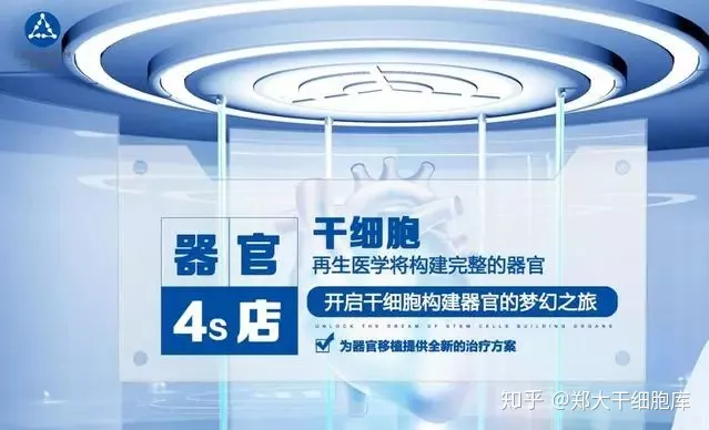 干細胞簡介——什么是干細胞?(圖3) 干細胞簡介——什么是干細胞?(圖3)