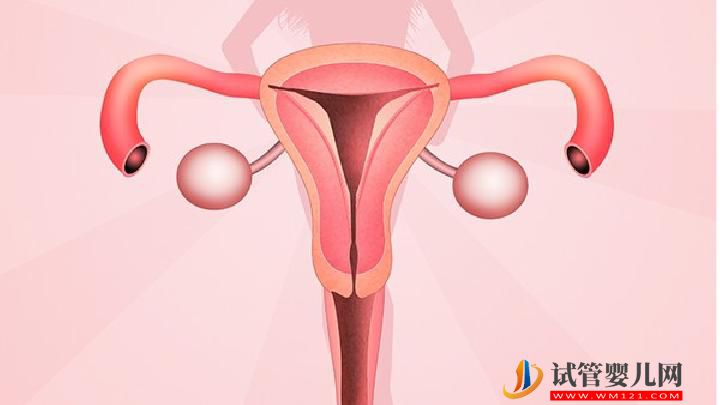 女人在床上怎么才能到達性高潮 女性想要性高潮要學(xué)會這些技巧(圖2)