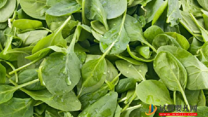 補腎壯陽的最佳食物有哪些 9類補腎壯陽食物男性要常吃(圖1)