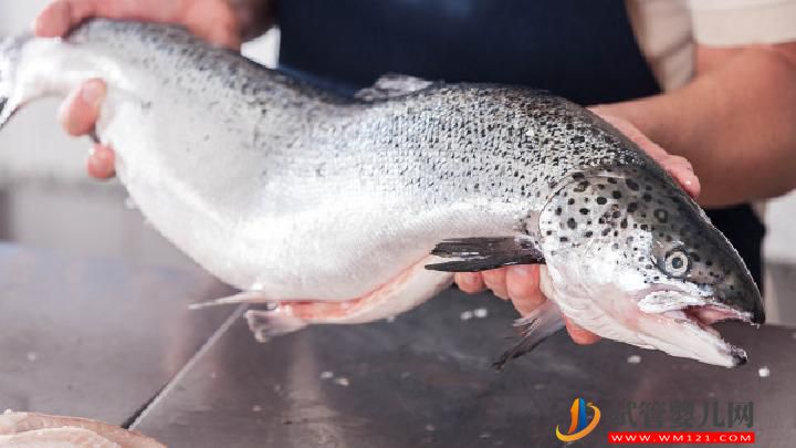 補腎壯陽的最佳食物有哪些 9類補腎壯陽食物男性要常吃(圖3)