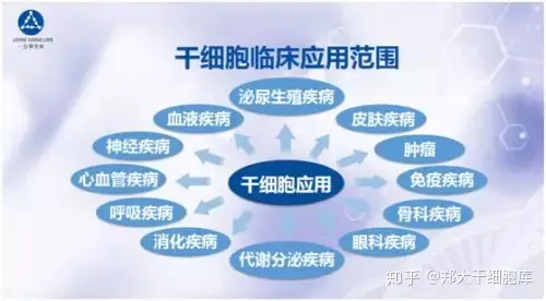 干細胞簡介——什么是干細胞?(圖5) 干細胞簡介——什么是干細胞?(圖5)