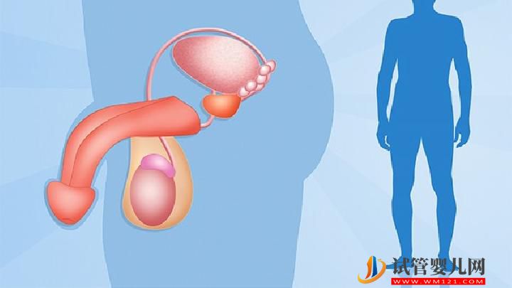 男性性功能障礙的癥狀有哪些？男性性功能障礙的癥狀表現(xiàn)介紹(圖1)