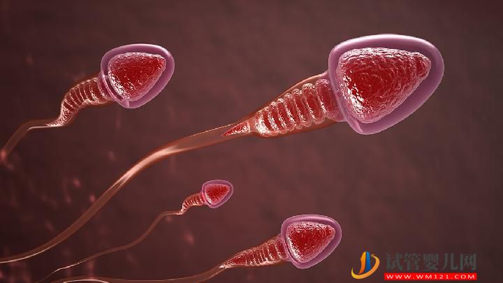 哪些不良飲食會影響生育？飲食不當會誘發男性不育嗎？(圖2)