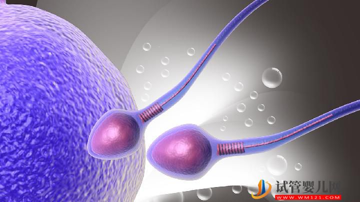 男性不育并發癥有哪些？男性防不育可多吃七種美食(圖2)