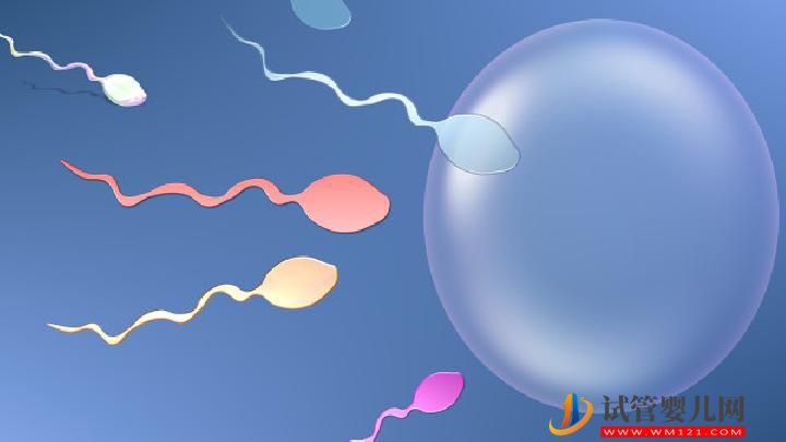 男性不育并發癥有哪些？男性防不育可多吃七種美食(圖4)