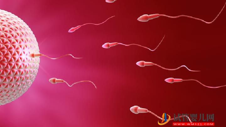 男性不育并發癥有哪些？男性防不育可多吃七種美食(圖5)