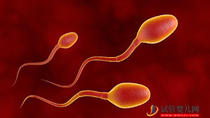 男性不育的原因可總結 警惕生活中有這6大精子殺手(圖4)
