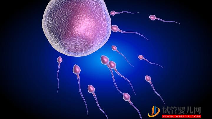 男性不育的四大治療誤區(qū) 男性不育的治療方法有哪些？(圖2)