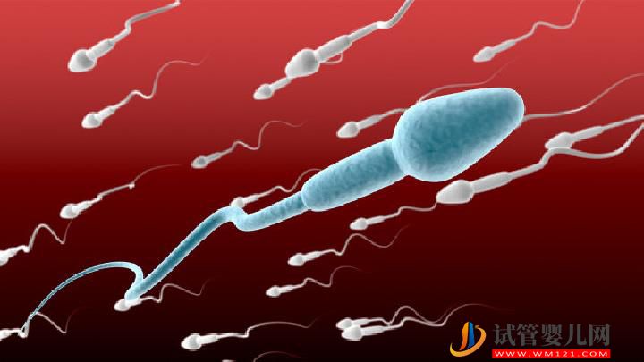 男性不育食療有哪些食療方法 不育男性應(yīng)多吃這4類(lèi)食物(圖2) 男性不育食療有哪些食療方法 不育男性應(yīng)多吃這4類(lèi)食物(圖2)