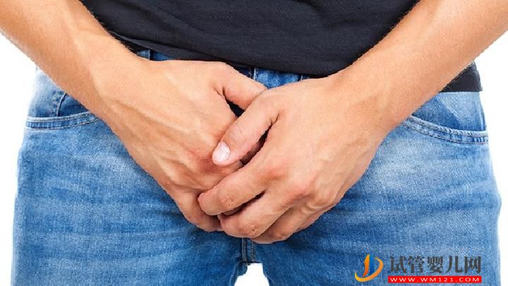 少精癥和無精癥是怎么回事?男性不育癥有什么表現(xiàn)?(圖2) 少精癥和無精癥是怎么回事?男性不育癥有什么表現(xiàn)?(圖2)