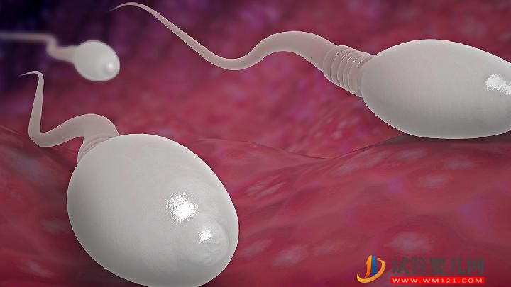 男性不育應(yīng)吃哪些食物調(diào)理？男性不育的常見原因有哪些？(圖2)