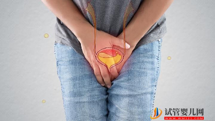 男性性功能障礙的病因是什么?男性性功能障礙大致分為四種-試管嬰兒網(wǎng) 男性性功能障礙的病因是什么?男性性功能障礙大致分為四種(圖1)