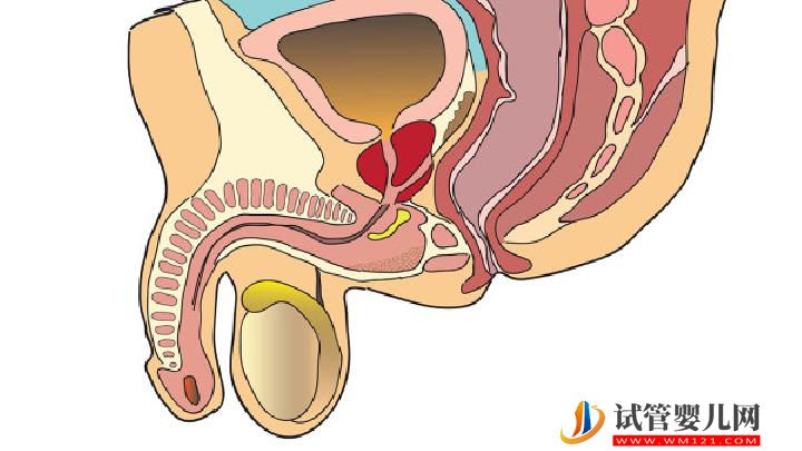男性性功能障礙怎么得的 男性性功能障礙治療的七個要點(圖1)