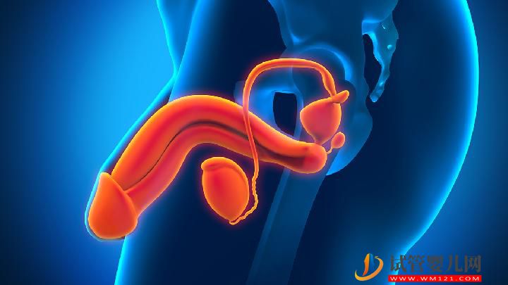 男性有五種疾病易引性功能障礙 處理性功能障礙的三個飲食方法(圖1)